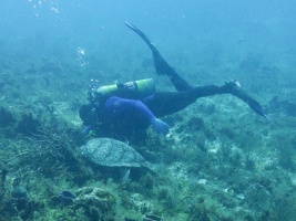 John and Hawksbill Sea Turtle IMG 4968